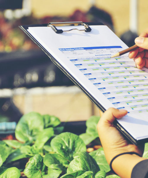 micro-quality-check-r