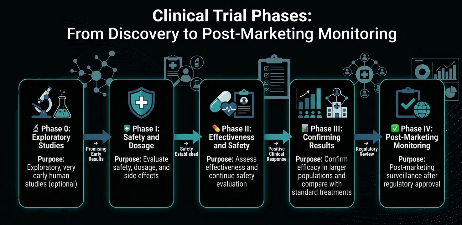 Understanding the Clinical Trial Phases
