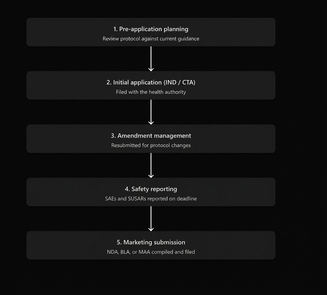 The Regulatory Submission Process