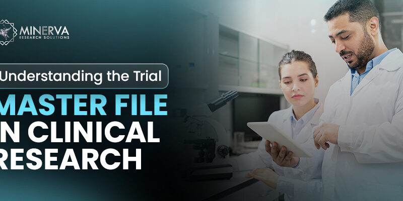 What Is a Trial Master File in Clinical Research